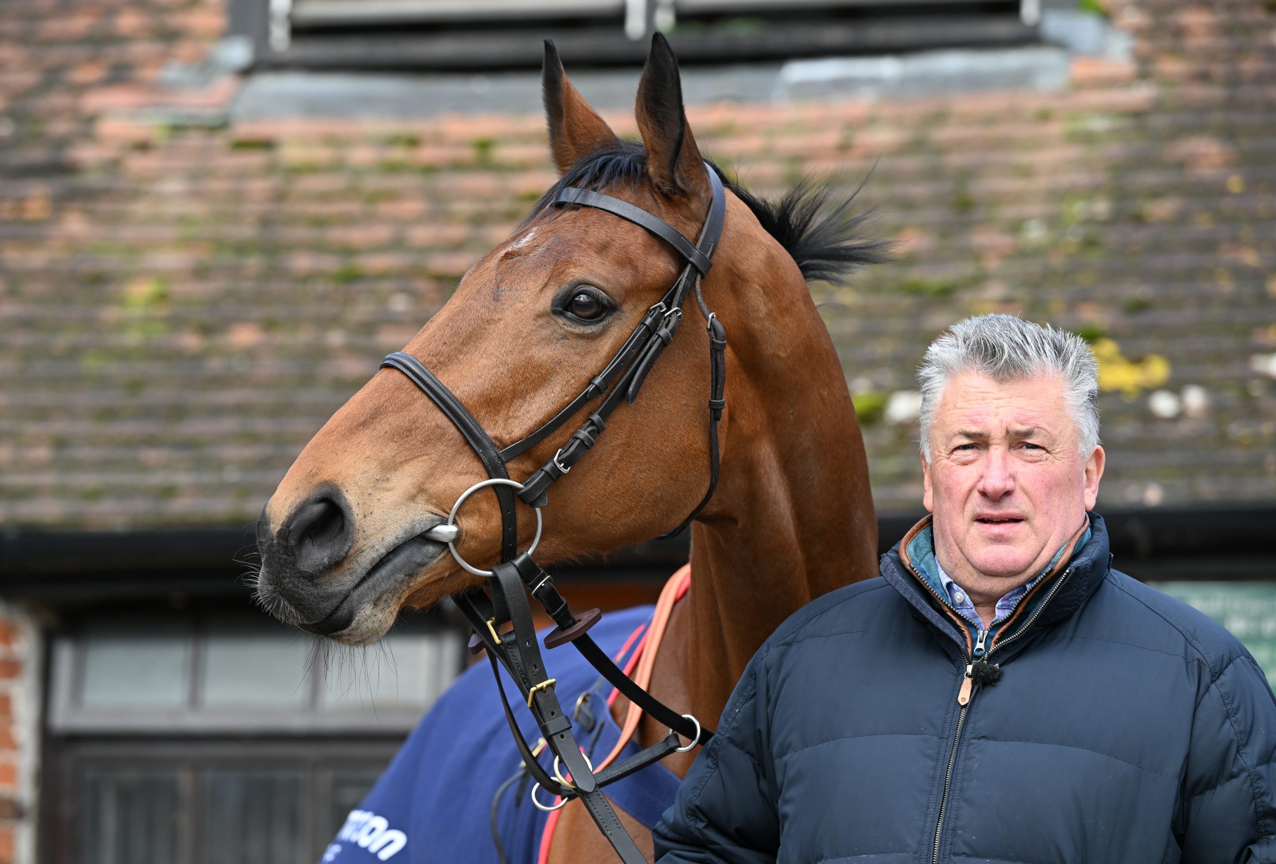 Here's the list of Cheltenham Gold Cup winners with trainer & SP