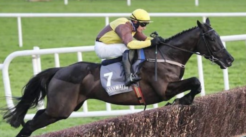 The 2024 Gold Cup Can Galopin Des Champs Defend His Crown? How They Run